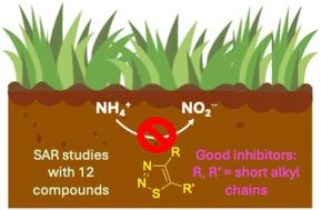 Structure–activity relationship study of substituted 1,2,3-thiadiazoles as novel nitrification inhibitors for agriculture