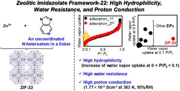Zeolitic imidazolate framework-22: high hydrophilicity, water resistance, and proton conduction