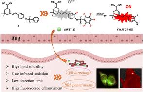 A high lipid-soluble probe for ONOO− recognition in the endoplasmic reticulum and imaging of cerebral ischemia-reperfusion injury
