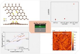 Probing defect formation in sulfur-annealed graphene for TMDC integration