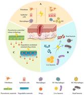Integrating piezoelectric dressings with botanicals as emerging smart dressings for diabetic wound healing