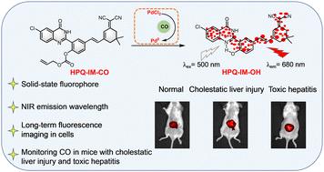 Novel near-infrared solid-state probe for monitoring carbon monoxide in cholestatic liver injury and toxic hepatitis