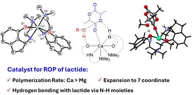 Homoleptic magnesium and calcium complexes supported by constrained reduced Schiff base ligand for lactide polymerisation: DFT analysis of lactide/ligand interactions
