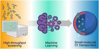 Development of synthetic chloride transporters using high-throughput screening and machine learning