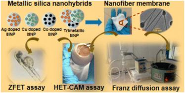 Evaluation of the safety profile of a metal-based nanosystem for developing antimicrobial polymer membranes in healthcare applications†