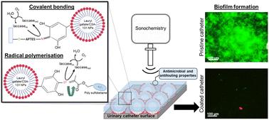 Bottom-up sono-enzymatic approach to build antimicrobial and antifouling nano-enabled coatings on urinary catheters