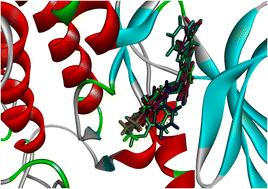 Synthesis, molecular docking, pharmacological evaluation, MD simulation, and DFT calculations of quinazolin-12-one derivatives as PDK1 inhibitors†