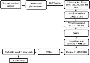 Identification and evaluation of potent AAK1 inhibitors through structure-based pharmacophores, virtual screening and bioassay screening