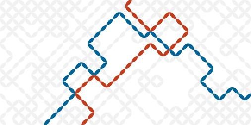 Protein misfolding in β-cell failure