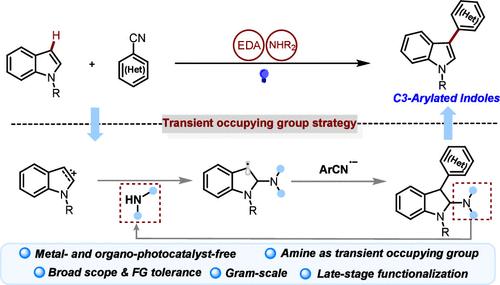Photoinduced EDA Complexes Enabled C3 (Hetero)arylation of Indoles Using Amine as a Transient Occupying Group