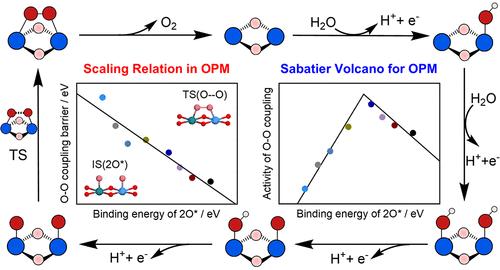 Structure–Activity Relation of the Oxide Path Mechanism for O–O Coupling on Rutile-Based Oxygen Evolution Reaction Catalysts