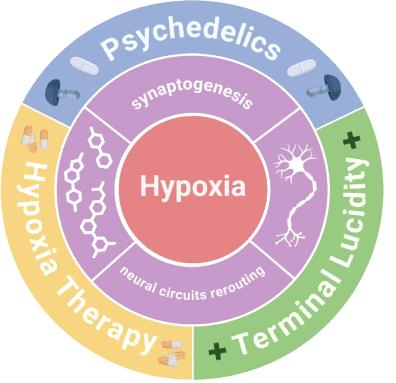 Hypoxia, Psychedelics, and Terminal Lucidity: A Perspective on Neuroplasticity and Neuropsychiatric Disorders