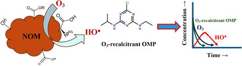 Dual Role of Natural Organic Matter as an Inhibitor or Stimulator of Hydroxyl Radical Formation in the Ozonation Process