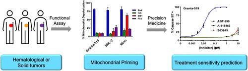Understanding the Functional Dependence and Inhibition of the Bcl-2 Pro-Survival Proteins in a Wide Spectrum of Cancers toward Precision Medicine