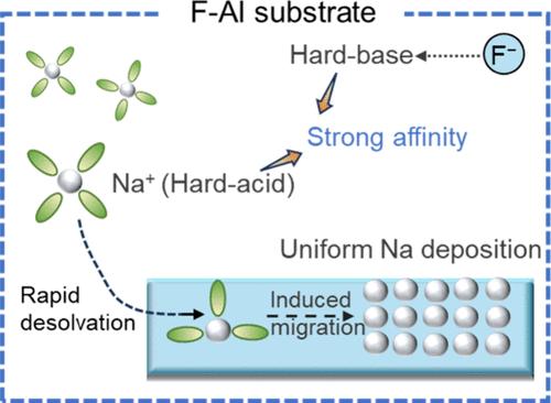 Tailoring Hard-Base Sites on the Al Current Collector Enables Anode-Free Sodium–Metal Batteries
