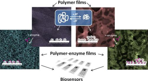 Polymer-Enzyme Films on Conductive Surfaces: from Surface Modification by a Dual-Stimuli-Sensitive Polymer to Design of Electrochemical Biosensors