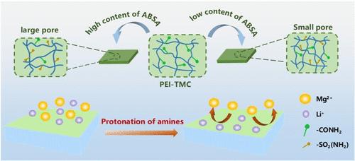 A New Strategy for Tunable Pore Size Polyamide Nanofiltration Membranes during the Interfacial Polymerization by the Dynamic Hydrophilic Site Resistance Balance of 3-Aminobenzenesulfonamide in the Aqueous Phase