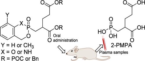 Prodrugs 2-(Phosphonomethyl)pentanedioic Acid (2-PMPA) as Orally Available Glutamate Carboxypeptidase II Inhibitors