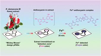A prospective method for non-invasive diagnosis of iron deficiency anemia using microfluidic paper-based analytical devices and a natural reagent from red rose (Rosa damascena) flower extract
