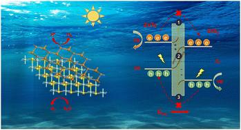 Theoretical design of a Z-scheme photocatalyst for water splitting with excellent catalytic performance: ZnTe/ZrS2 heterojunction