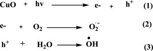 Sustainable engineering and characterization of plant-synthesized CuO nanoparticles for synergistic photocatalytic degradation of organic dyes from wastewater