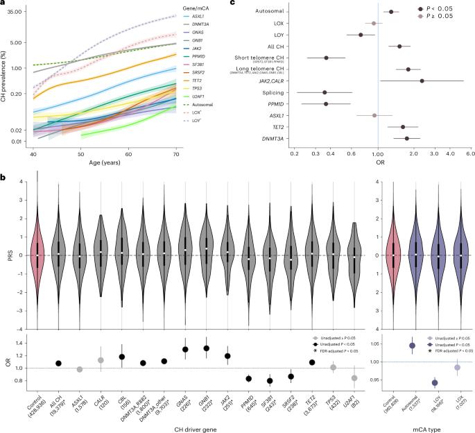 Telomere attrition becomes an instrument for clonal selection in aging hematopoiesis and leukemogenesis