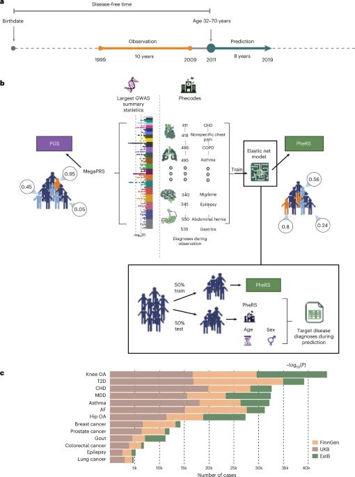 Cross-biobank generalizability and accuracy of electronic health record-based predictors compared to polygenic scores