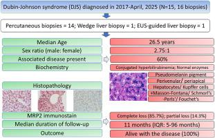 Dubin–Johnson Syndrome: An Eight-Year Retrospective Clinicopathological Review from a North Indian Tertiary Center