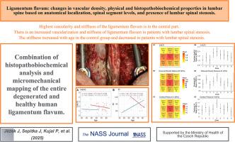 Ligamentum flavum: changes in vascular density, physical and histopathobiochemical properties in lumbar spine based on anatomical localization, spinal segment levels, and presence of lumbar spinal stenosis