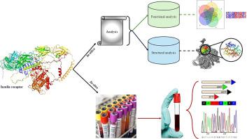 In-silico analysis of non-synonymous SNPs in insulin binding site of insulin receptor and screening in Indian PCOS women
