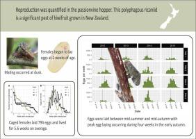 Phenology of oviposition and reproductive behaviour of the invasive plant hopper Scolypopa australis (Walker) (Hemiptera: Ricaniidae)