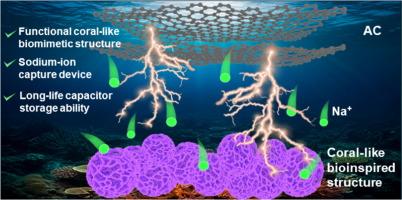 Electrochemical phase reconstruction of biomimetic MnO2 structure to enhance sodium-ion storage kinetics in aqueous systems