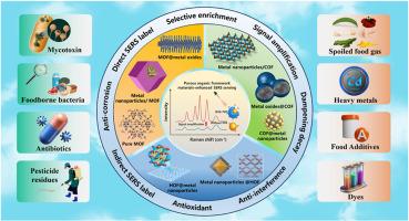 Recent advances on porous organic framework material-based SERS sensing for the analysis of hazards in food