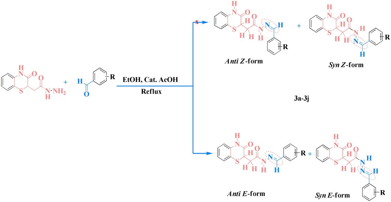 Synthesis and Characterization of Novel Benzothiazinonic N-Acylhydrazone Derivatives