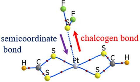 Semicoordinate versus σ-Hole Bonding of Group 10 Metal Atoms in a Square Planar Motif