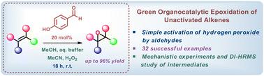 Green epoxidation of unactivated alkenes via the catalytic activation of hydrogen peroxide by 4-hydroxybenzaldehyde