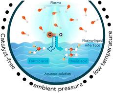 Non-thermal atmospheric pressure plasma–liquid synthesis of organic acids in aqueous solution from carbon monoxide