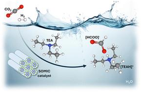 Role of base in CO2 hydrogenation to formate over a Ru(III) solid micellar catalyst