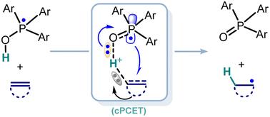 Computational insights into radical hydrogenation of alkenes and naphthalenes with Ar3P–OH radical
