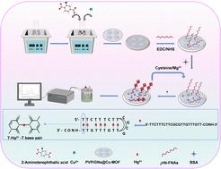 Integrated functional nucleic acids with 2D metal–organic framework composites as a label-free electrochemical sensor for trace Hg2+ sensing