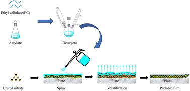 Synthesis and low-temperature surface decontamination performance of an ethyl cellulose-g-polyacrylate detergent