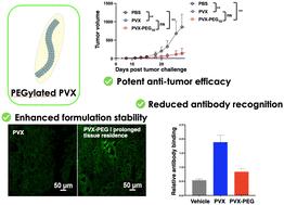 Efficacy of PVX and PEGylated PVX as intratumoral immunotherapy