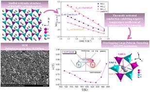 Comprehensive study of the structural, microstructural, and electrical properties of RbZnPO4: insights into conduction mechanisms and the OLPT models