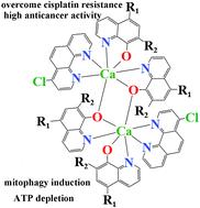 Three novel dinuclear calcium(ii) complexes with 5,7-dihalo-8-quinolinolato showing potent anticancer activity