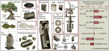 Biodegradable polyhydroxyalkanoate (PHA) composites with biochar ratios optimized for the additive manufacturing method of material extrusion: engineering, rheological, and morphological insights†