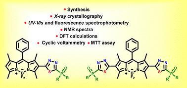 Effects of phosphorus(V)-substituted 1,3,4-thiadiazoles on the electronic properties of BODIPY fluorophores