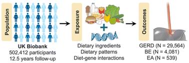 Diet, genetic factors, and the risk of gastroesophageal reflux disease, Barrett's esophagus and esophageal adenocarcinoma