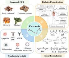 Curcumin and its novel formulations for diabetes mellitus and its complications: a review