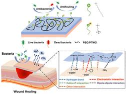 Polysiloxane-based polyurethane/quaternary ammonium-zwitterionic pressure-sensitive adhesive composite double dressing with antimicrobial and antifouling properties