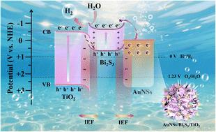 Au nanostars/Bi2S3/TiO2 Schottky/S-scheme dual heterojunctions for efficient photocatalytic hydrogen evolution